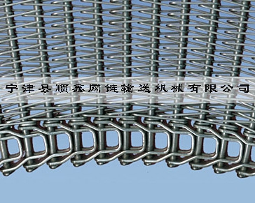 温州冷冻传送式螺旋网带
