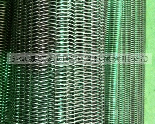 温州高温不锈钢直轴型网带