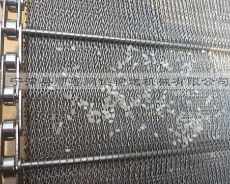 温州大米清洗网带