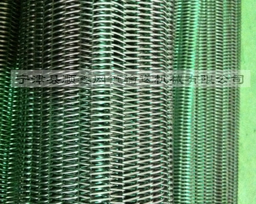 温州高温不锈钢直轴型网带