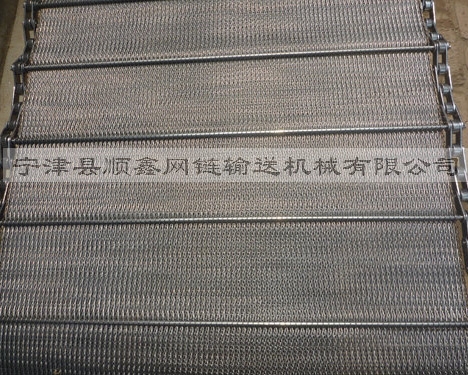 温州人字型链条网带
