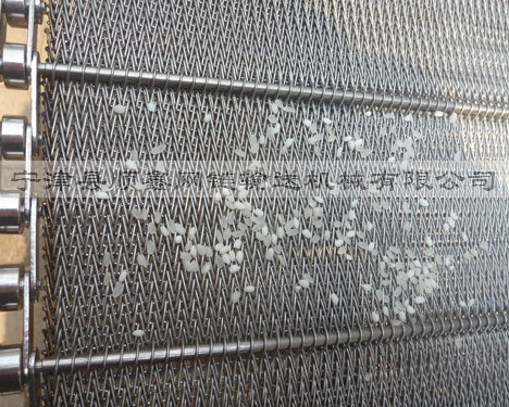 温州大米清洗网带